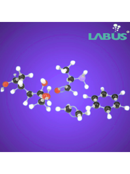 PL MOLECULAR MODEL SET - BIO CHEMISTRY SET – STUDENT